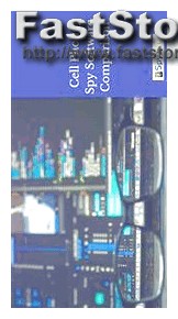 Flexispy Affiliate Federal Indictment